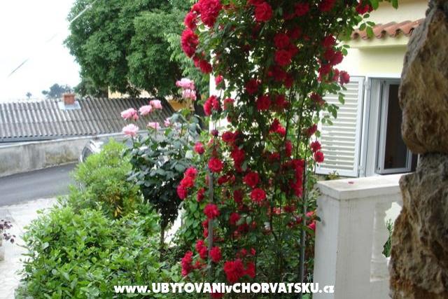 Apartments Piskulic – photo 3