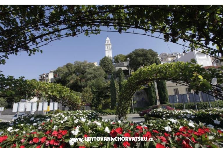 Apartments Beba – photo 14