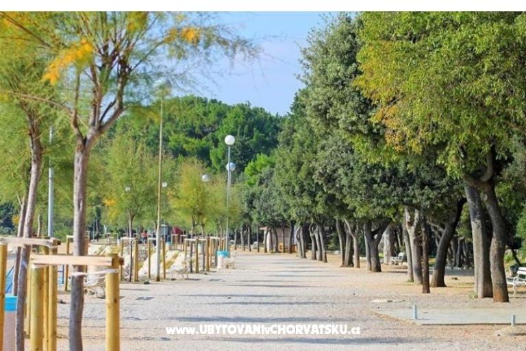 Vila Mira – photo 15