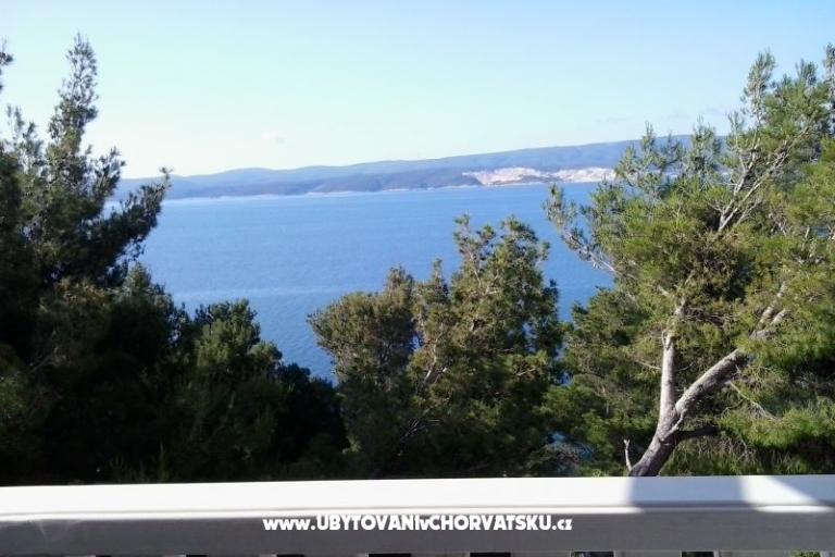 Apartment Danica – photo 12