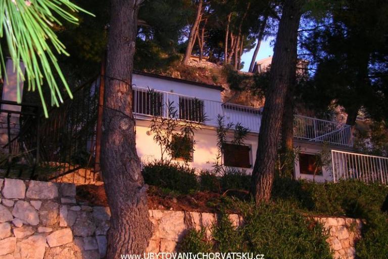 Apartment Irena  – photo 2
