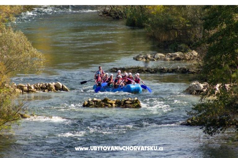 Apartments Daniela – photo 14