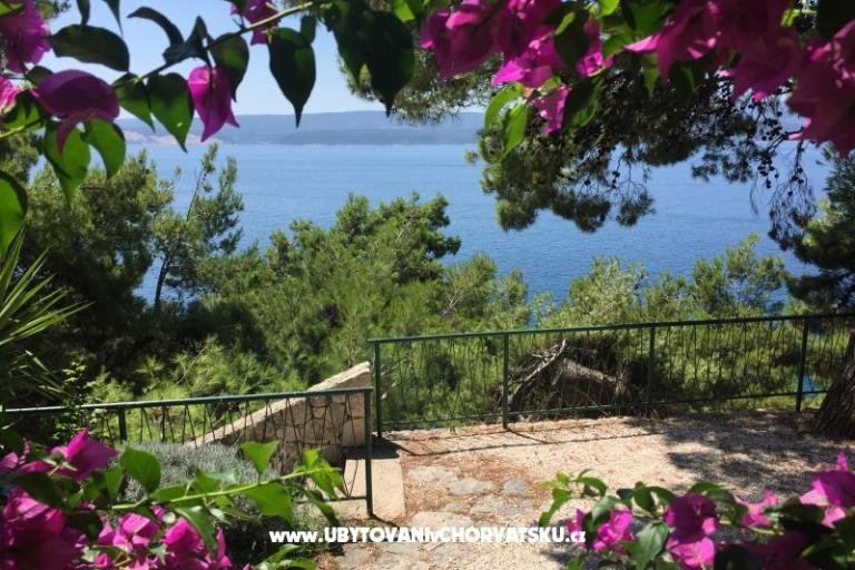 Apartments Daniela – photo 3