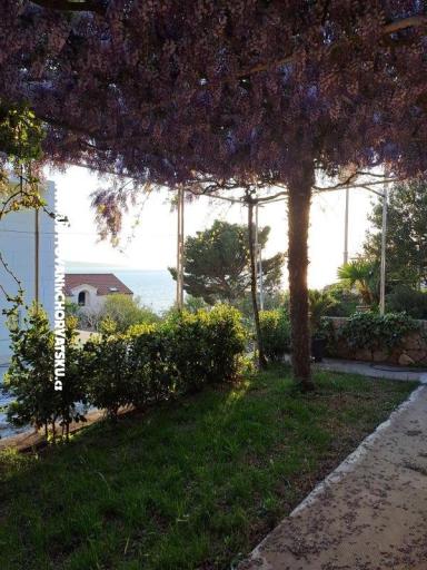 Apartments AGAVA – photo 27