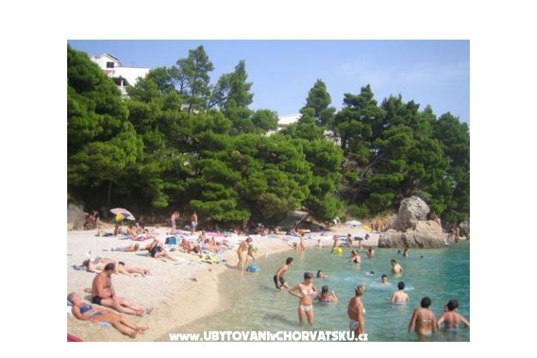 Apartments Vila ALEN – photo 12