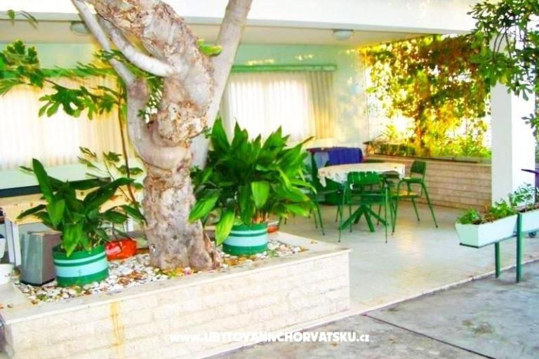 Apartments Ana – photo 4