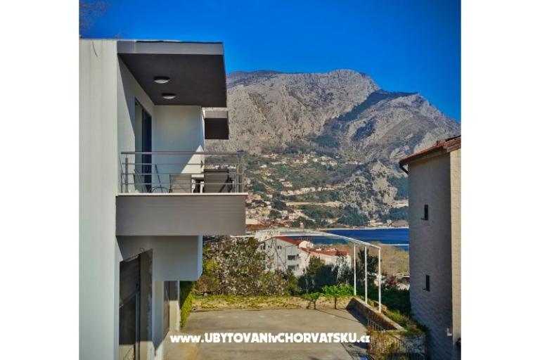Apartments Andrea  – photo 5
