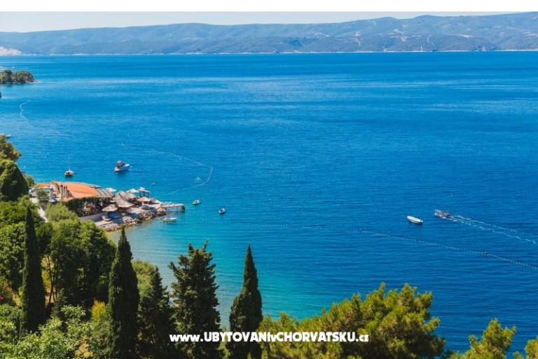 Apartments Babić – photo 18