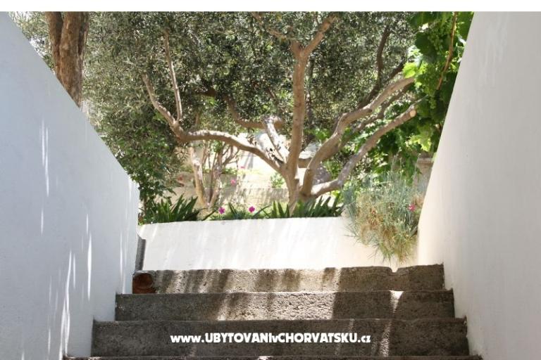 Apartments Cvita – photo 18