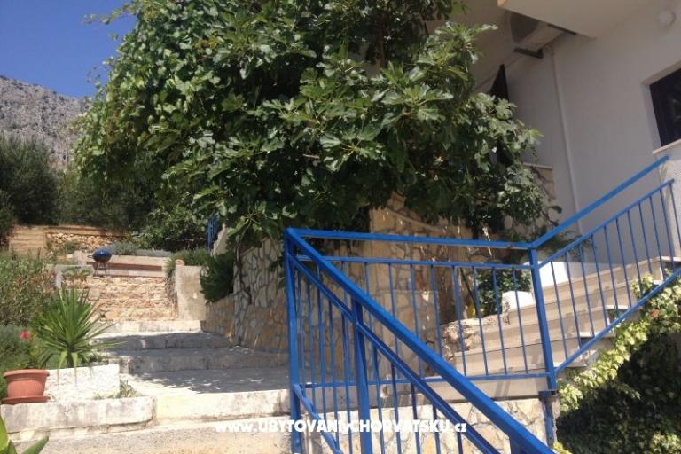 Apartments Dragana – photo 14