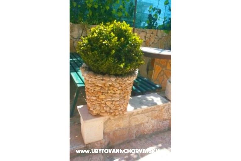 Apartments Dragica – photo 6
