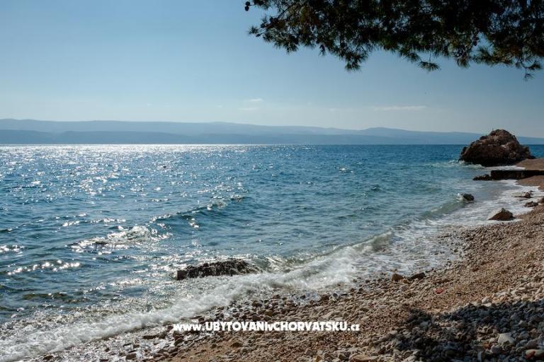 APARTMANI JELENA – photo 8