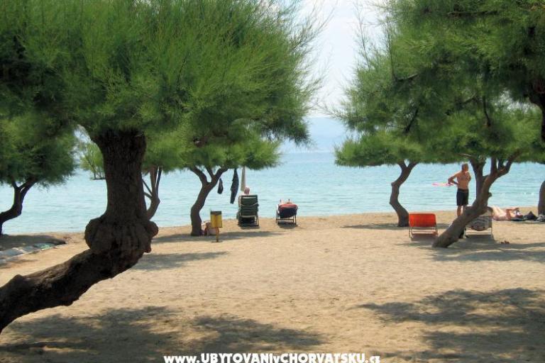 Apartments Lavanda – photo 4