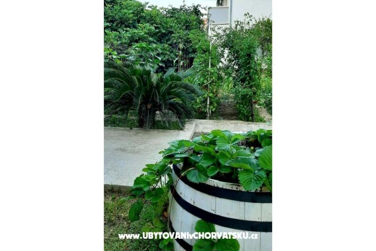 Apartments Martić – photo 7