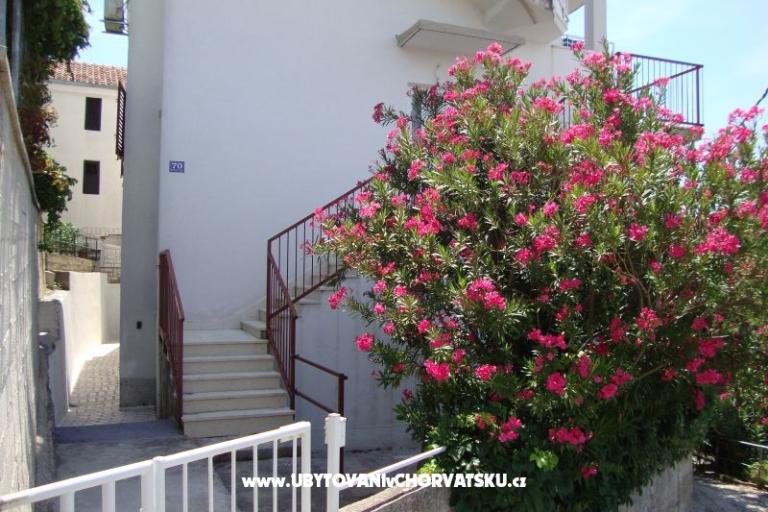 Apartments Mijo – photo 4