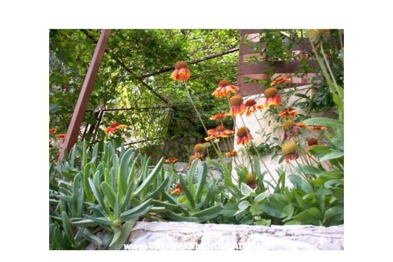 Apartments Mirjana – photo 11