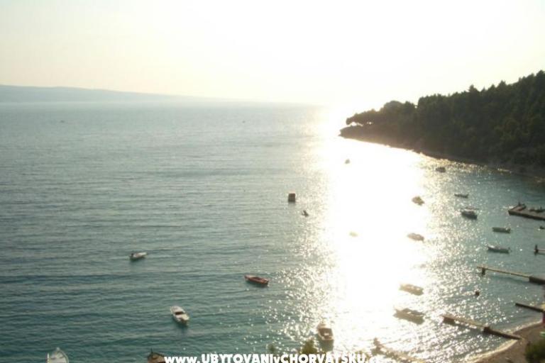Apartments Velika Luka – photo 8