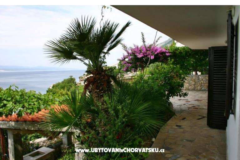 Apartments VERA – photo 12