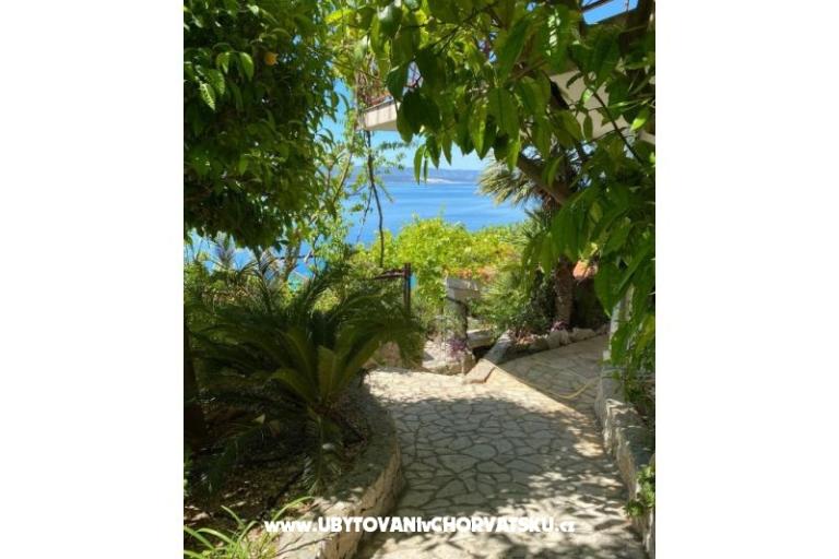 Apartments VERA – photo 25