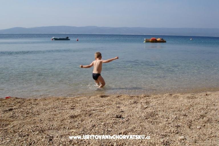 Apartments VERA – photo 3