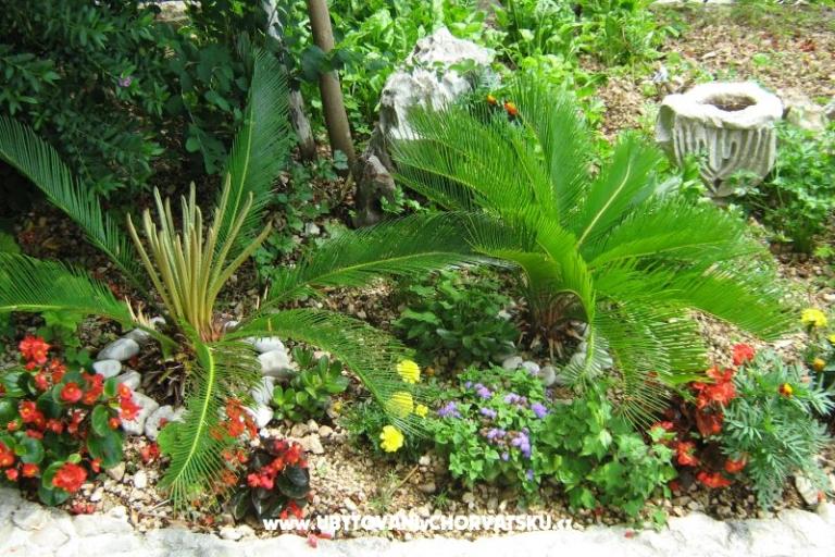 Apartments VERA – photo 9