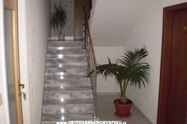 Apartments Zečić – photo 7