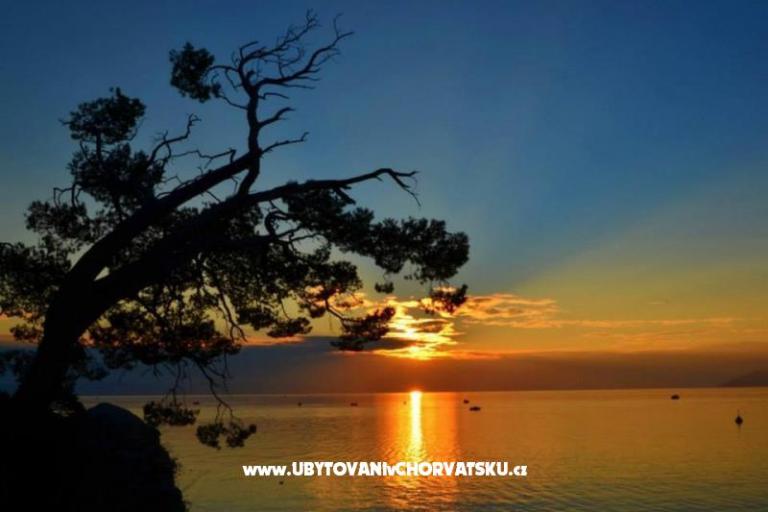 Apartmentmate omiš – photo 17