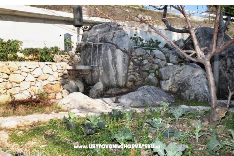 Apartments Luka – photo 11