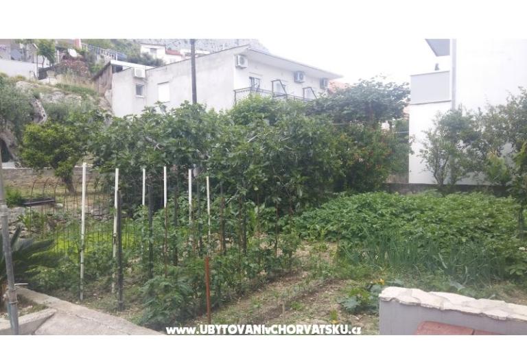 Apartments Martic – photo 10