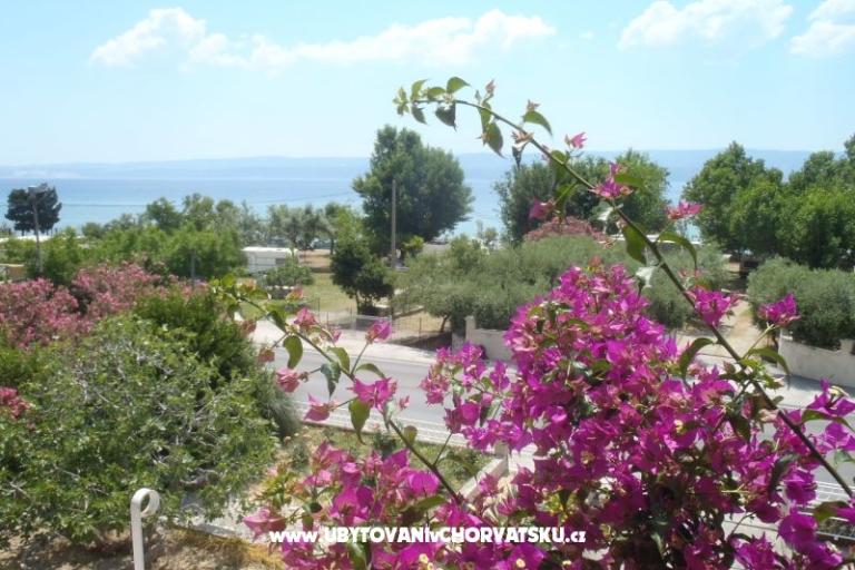 Apartments Merion – photo 7