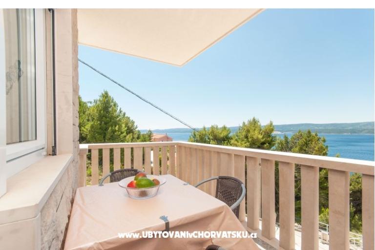 Apartments Villa Vesna Celina – photo 2