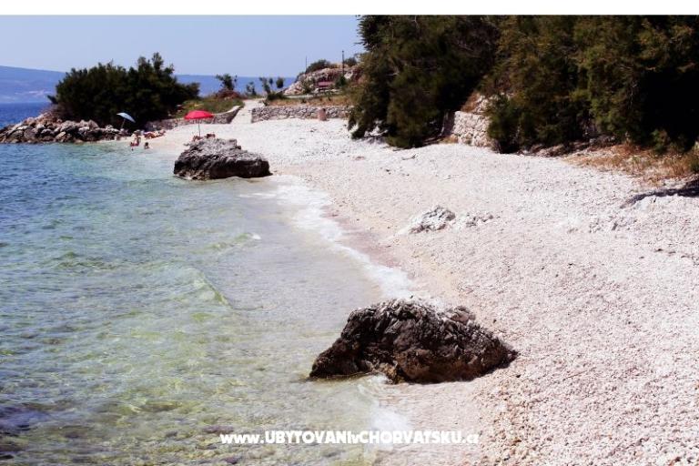 Apartments Villa Dalmas  – photo 9
