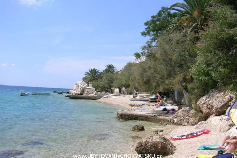 Bellavista – photo 3