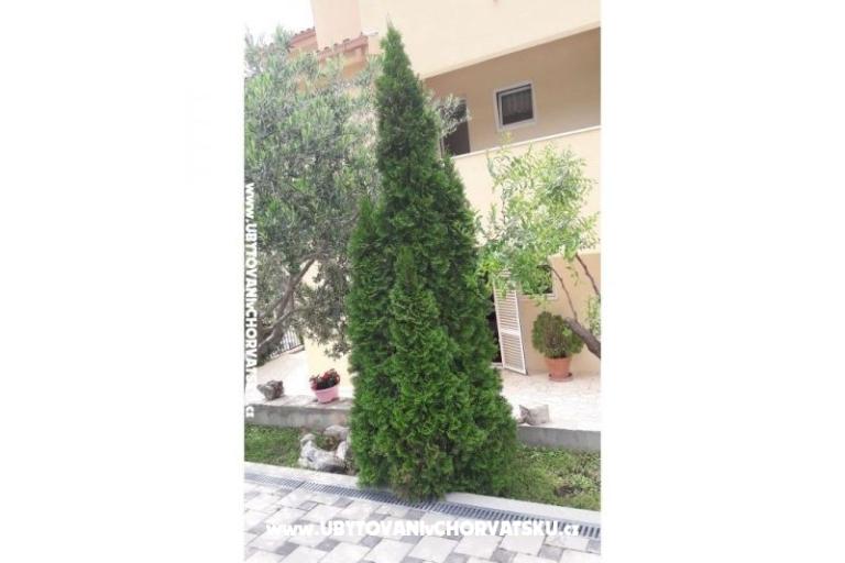 Apartments Toma – photo 18