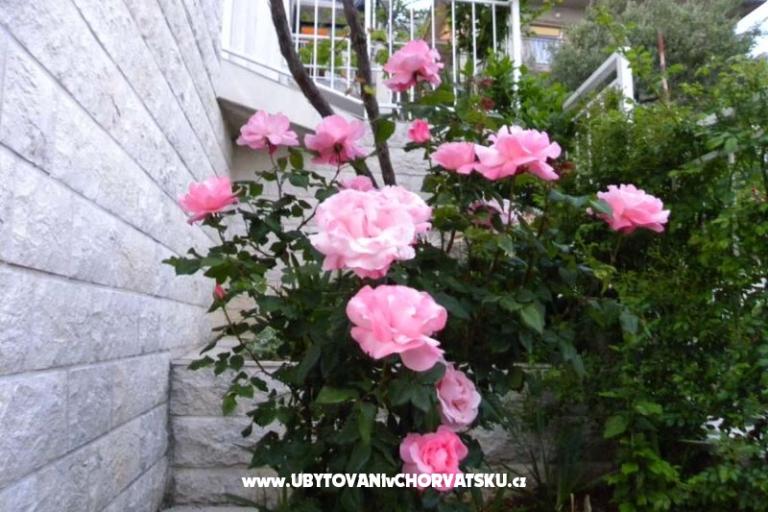 Boženka House – photo 6