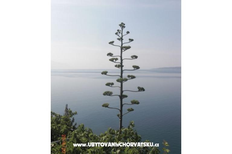 Apartments Culjak  Omiš Marušići – photo 3