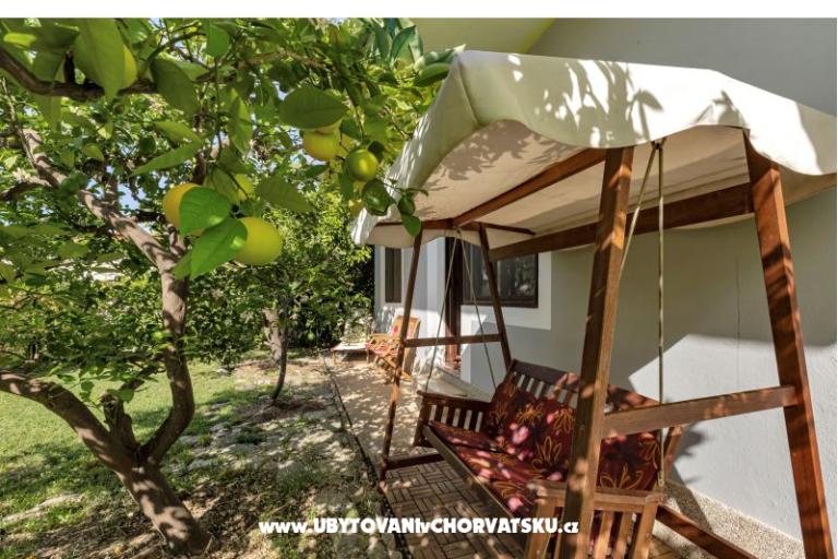 House Ana – photo 4
