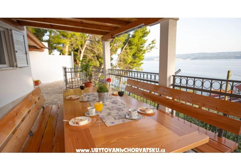 House Dino – photo 13