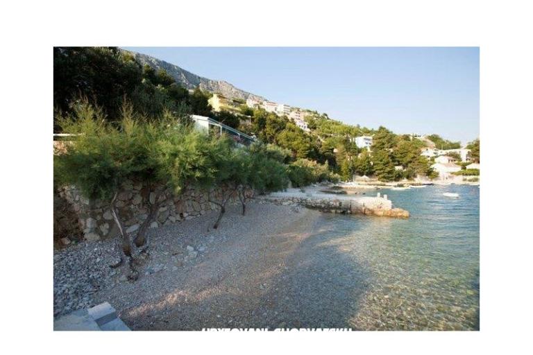 House Dino – photo 16