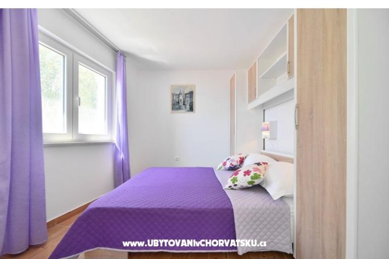 House Dino – photo 2