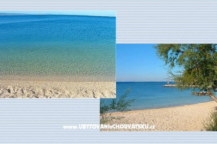 Apartment Tisa – photo 11