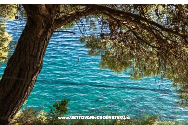 Vacation house Villa Stina – photo 15