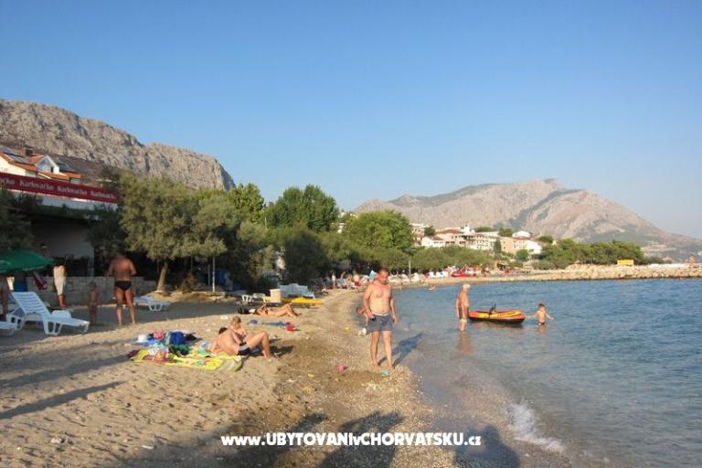 Apartments Mirna – photo 15
