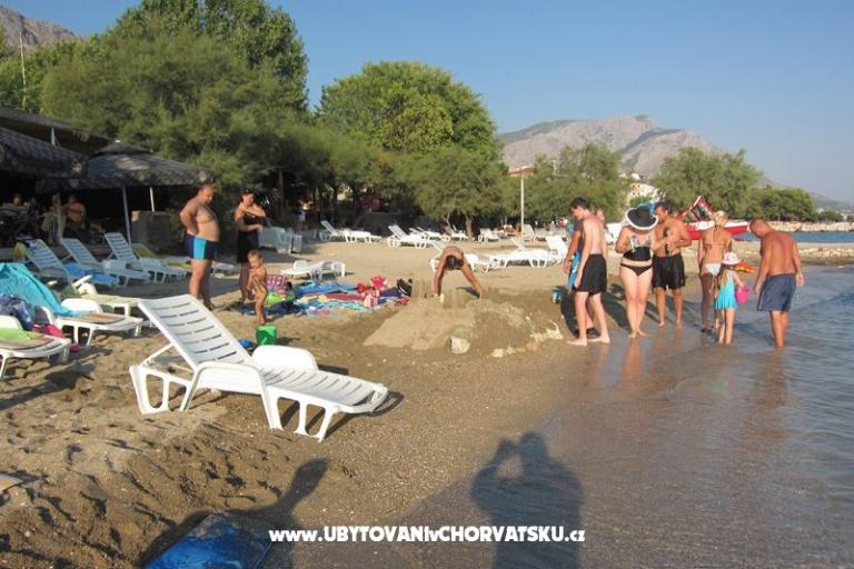 Apartments Mirna – photo 4