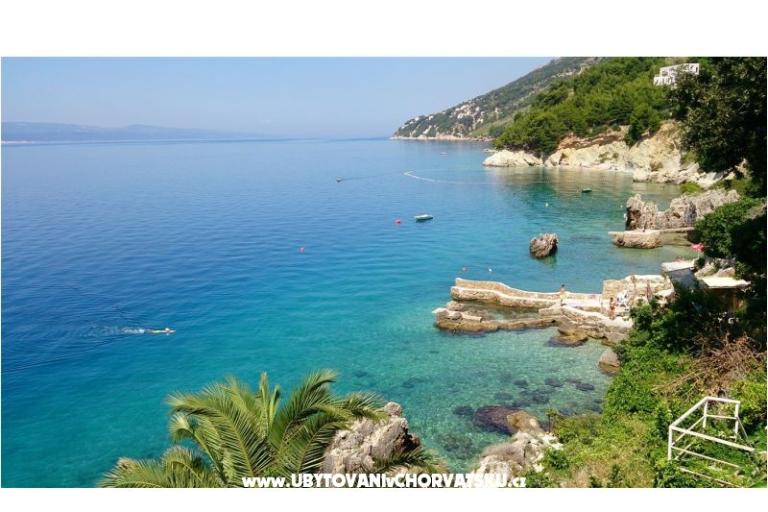 Najka – photo 16