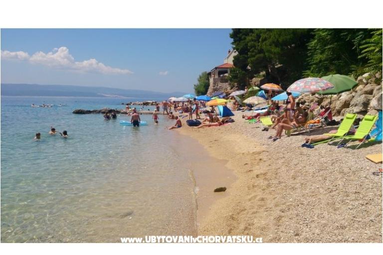 Najka – photo 6
