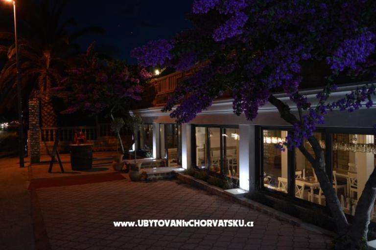 Pension & Apartments  – photo 2