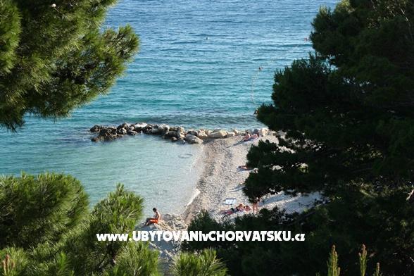 Pension Šarić – photo 8