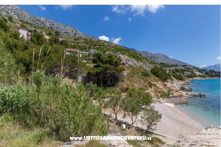 Apartments Perkusic – photo 15