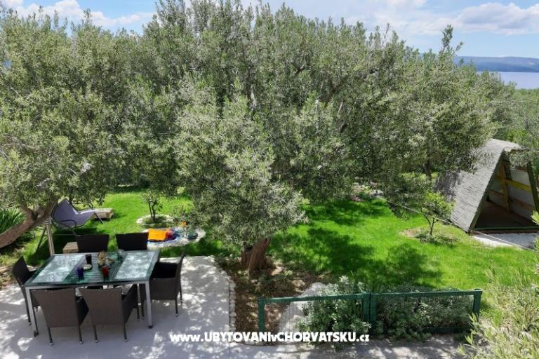 Apartment Cvita – photo 4